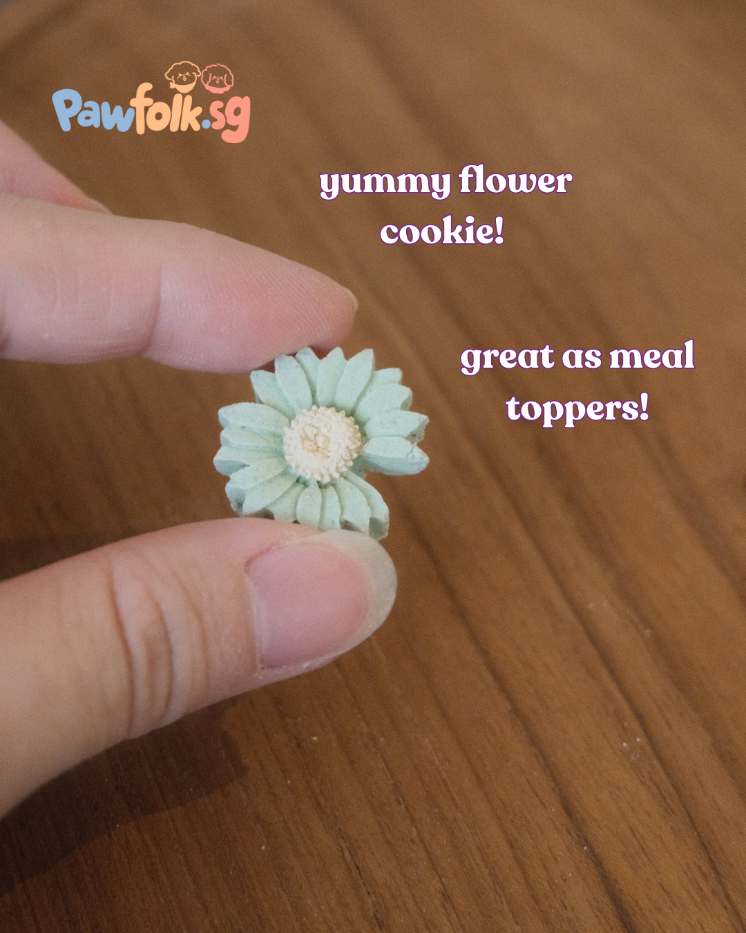 Mini Flower Cookies Pet Treat Pet Food (10pcs)