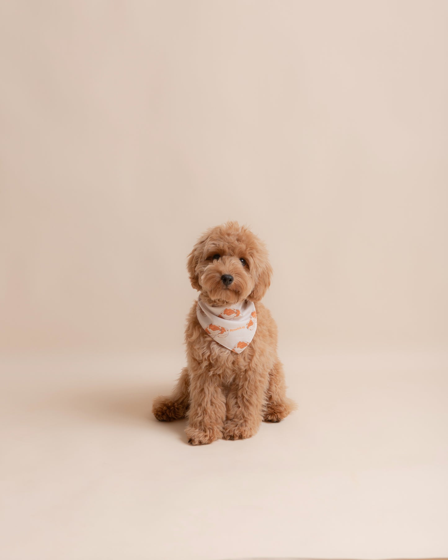 Singapore Food Special: Chwee Kueh Pet Bandana Style - 005