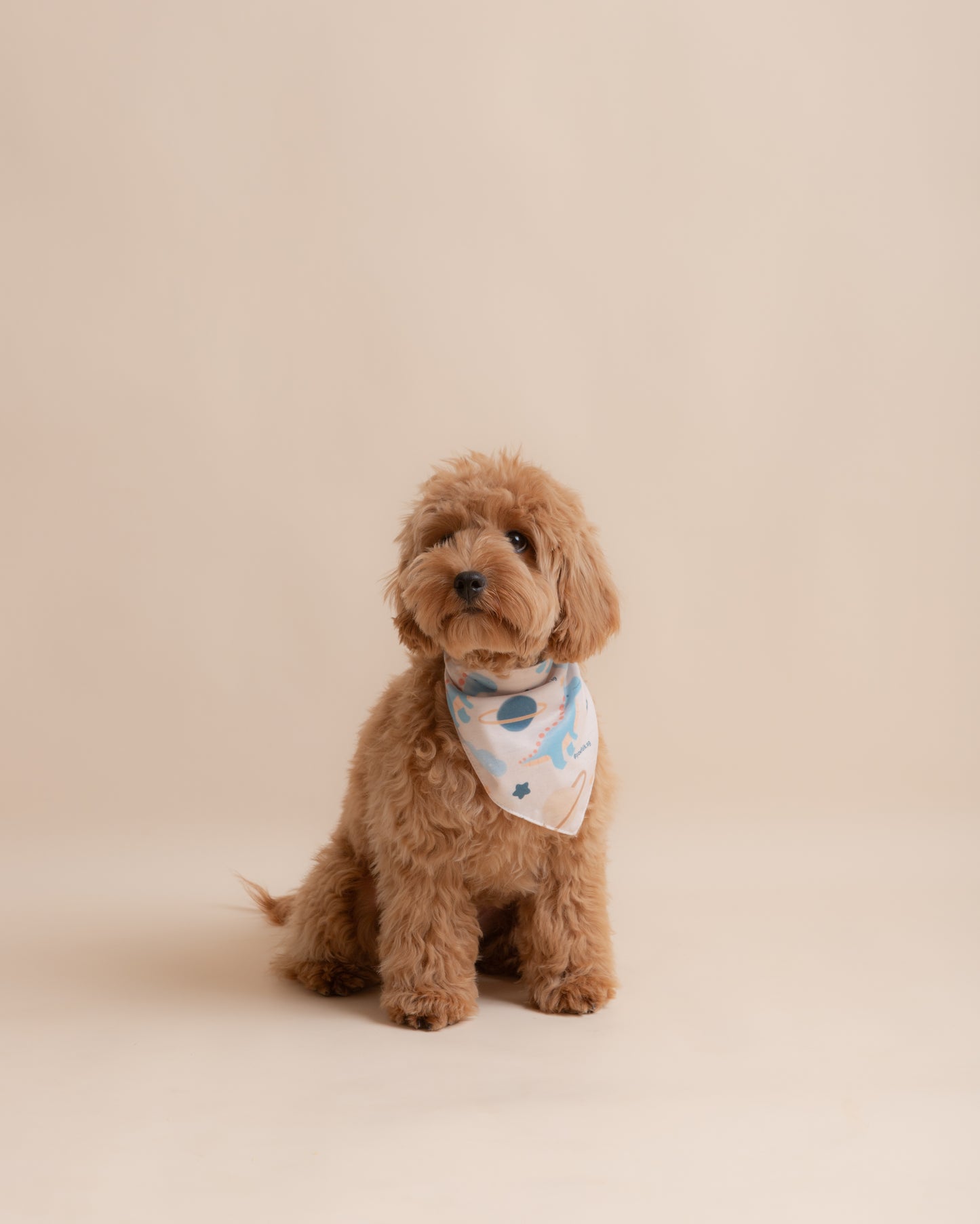 Dinosaur Planet Pet Bandana - Style 003