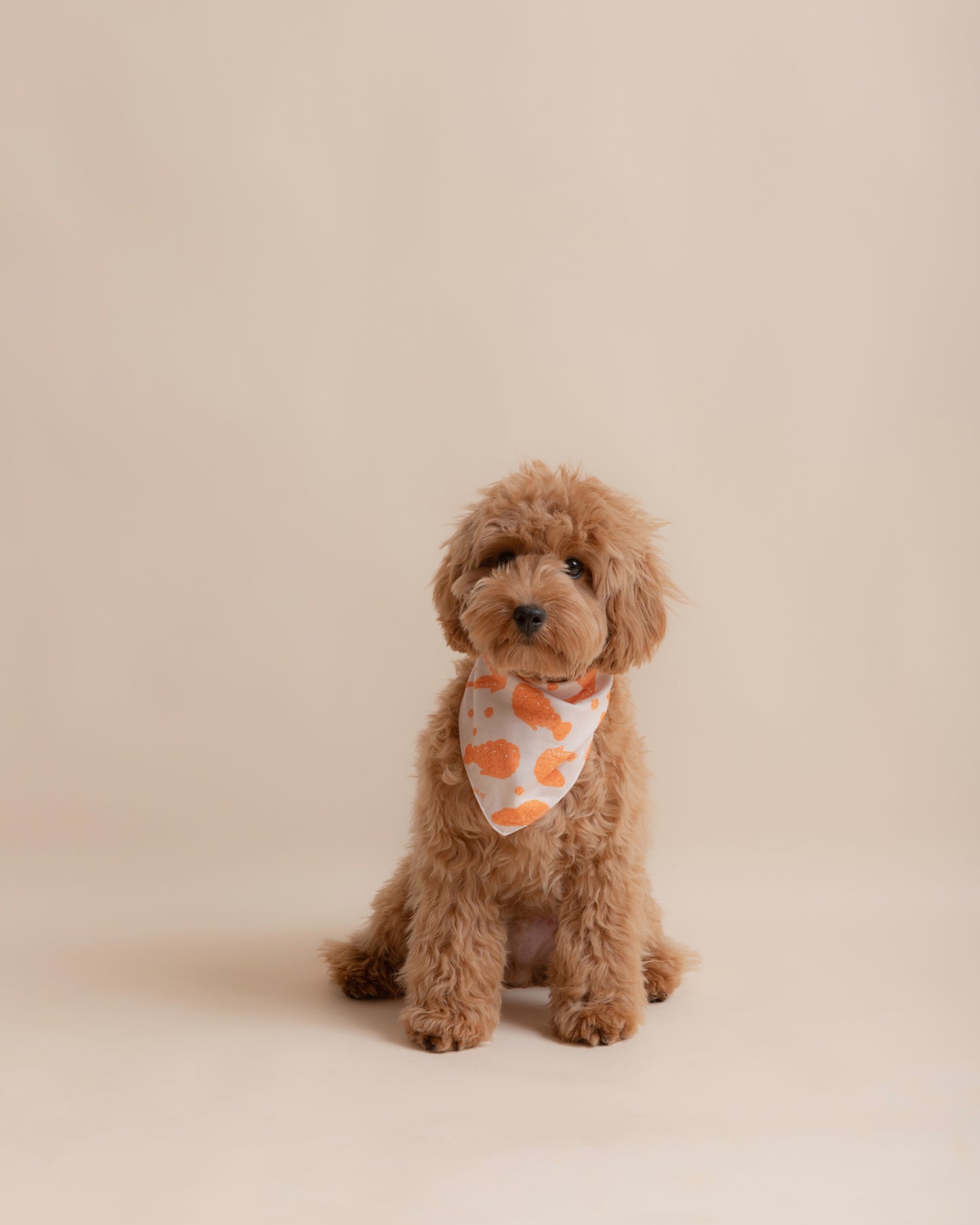 Fried Chicken Pet Bandana Style - 007