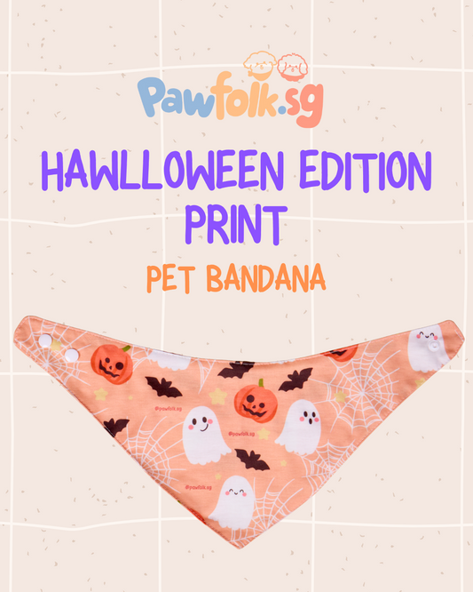 2025 Halloween Limited Edition Pet Bandana – Style 004