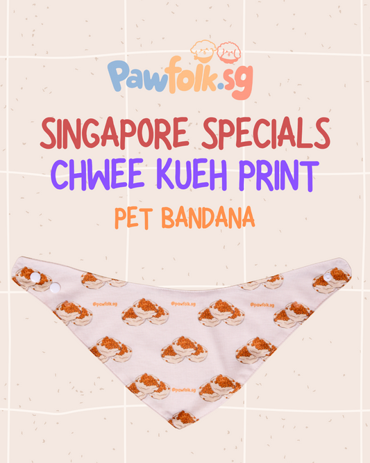 Singapore Food Special: Chwee Kueh Pet Bandana Style - 005
