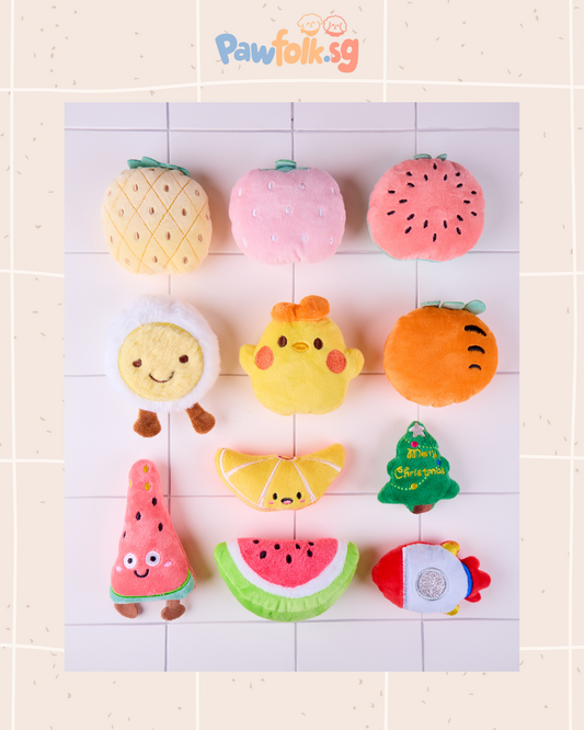 Dog squeaky chew toys