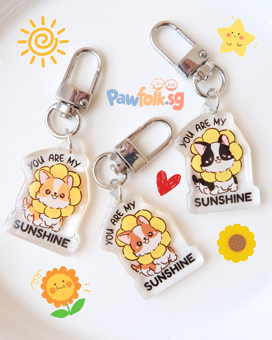 "YOU ARE MY SUNSHINE"  dog puppy tag Hand drawn acrylic decorative tag keychain accessory 03
