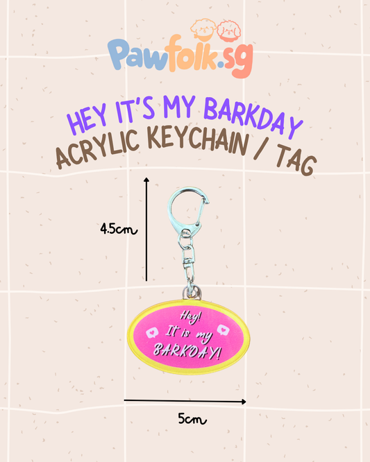 Pet Leash Tag Key Chain Barkday (Pink)