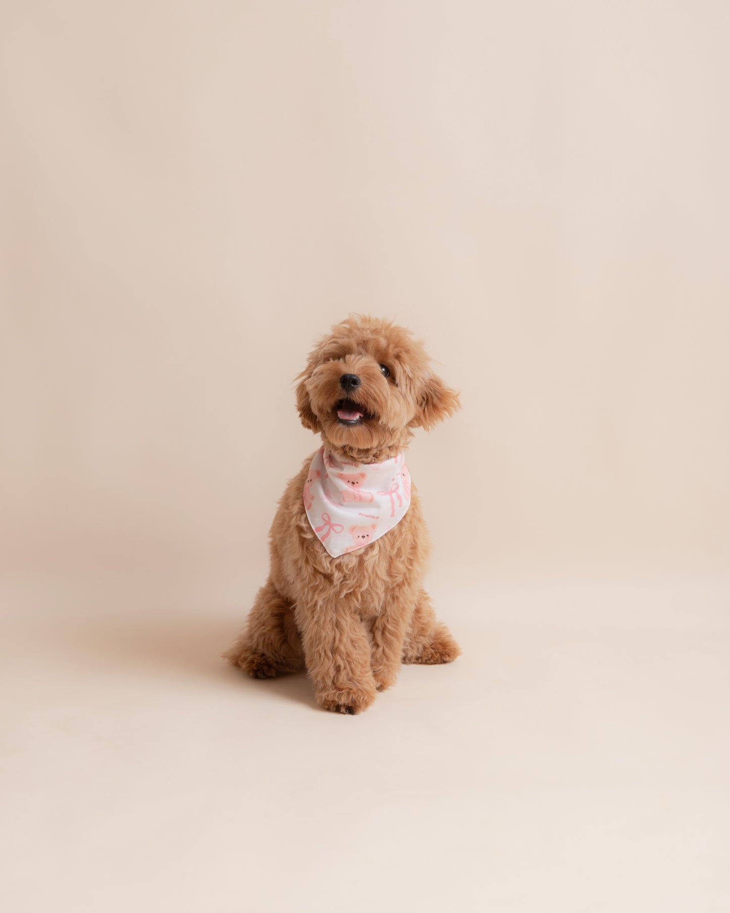 Bears and Ribbons Pet Bandana - Style 002