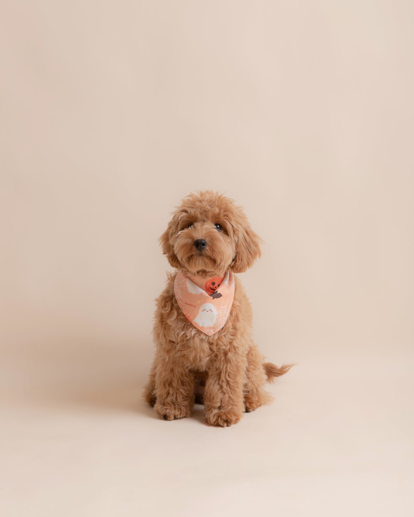 2025 Halloween Limited Edition Pet Bandana – Style 004