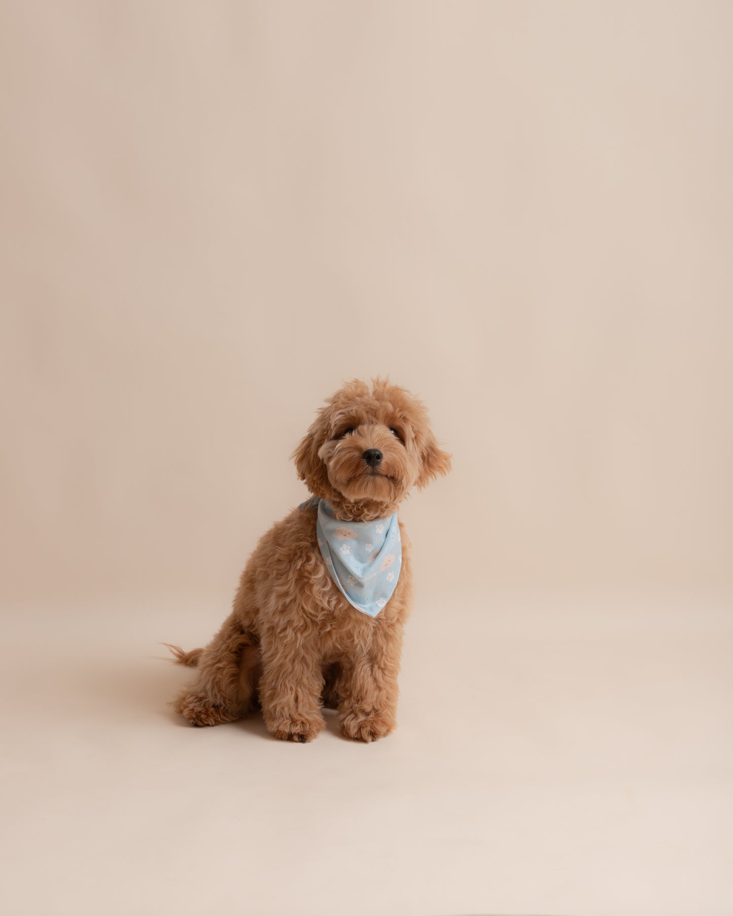 Blue Moon cloud stars Pet Bandana Style - 009