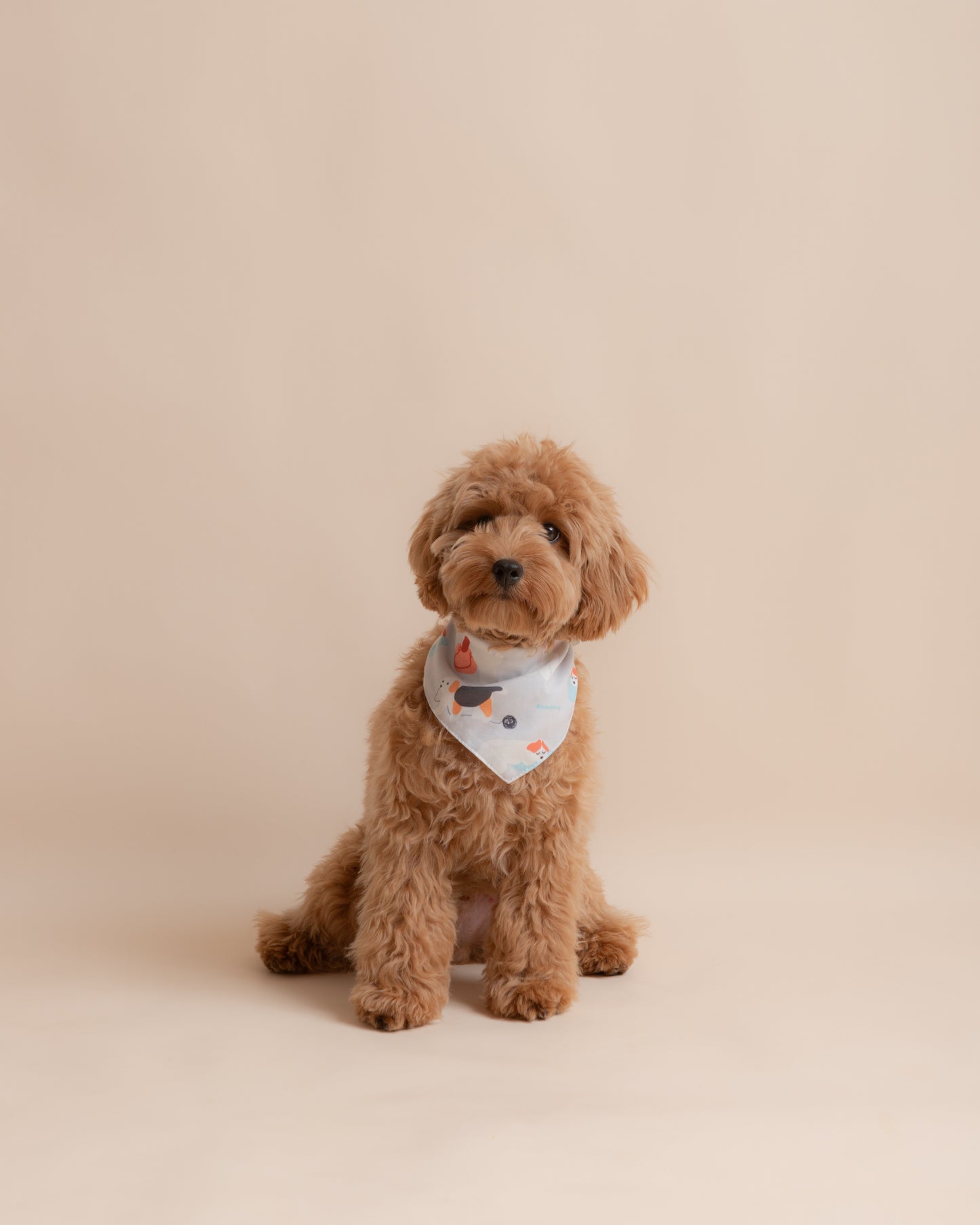 Multi Pup Pet Bandana – Style 001
