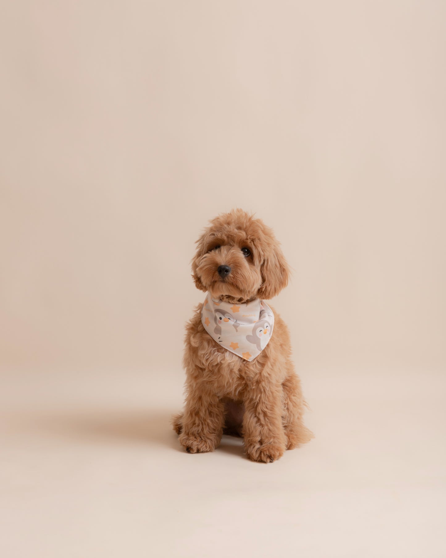 Penguins and Stars Pet Bandana Style - 008
