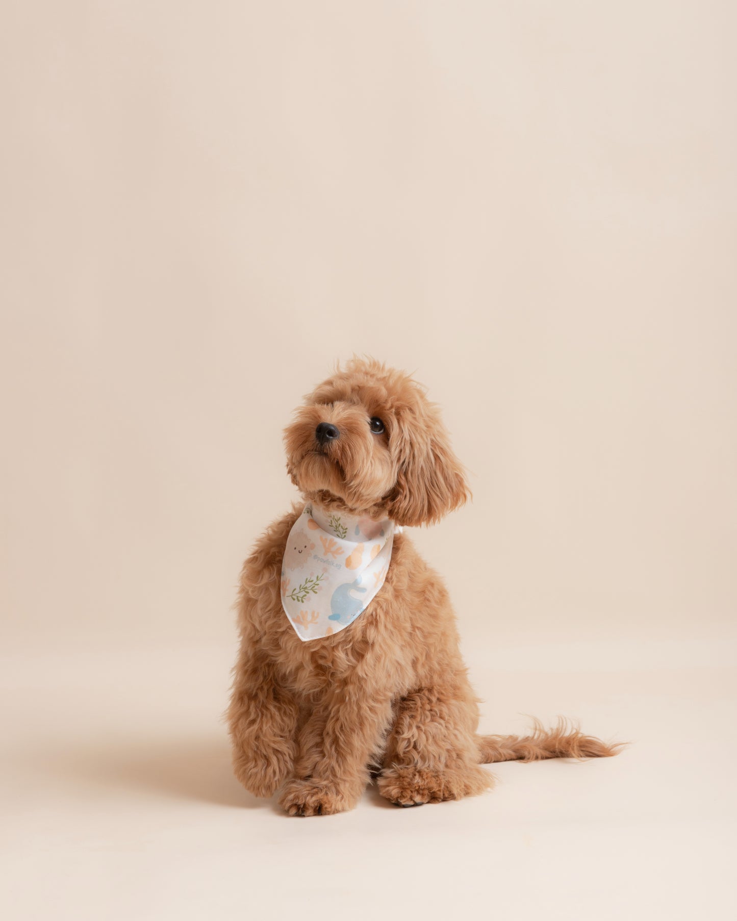 Sea Creatures Pet Bandana Style - 011