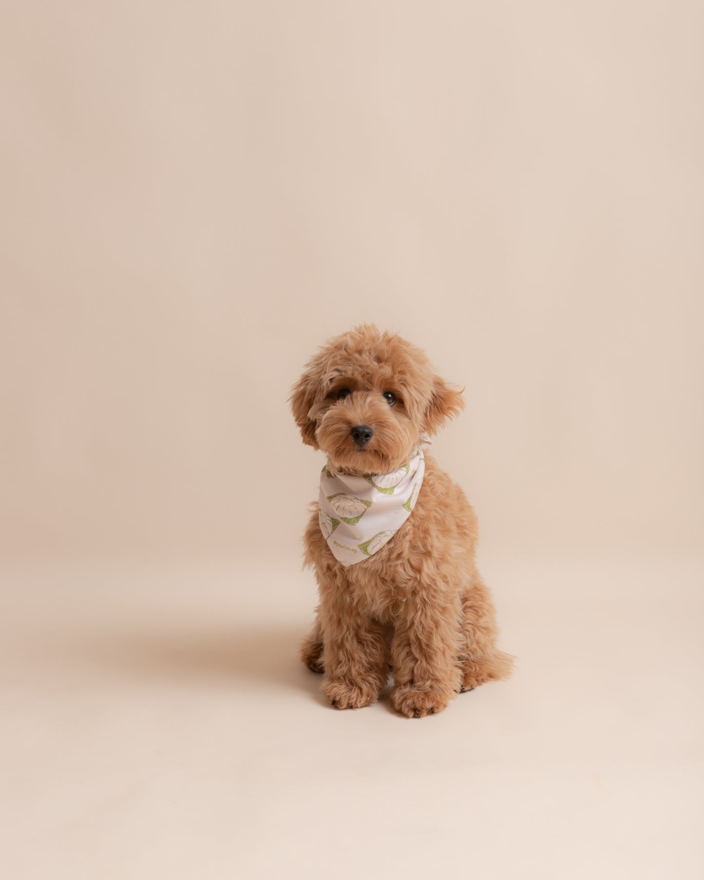 Singapore Food Special: TuTu Kueh Pet Bandana Style - 006